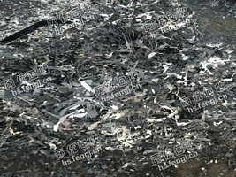 福建地区矽钢片大量回收