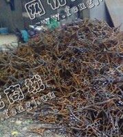 天心区暮云街道老刘废钢边角料回收
