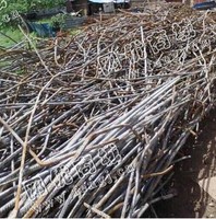 望城区枫林路废钢筋大量回收