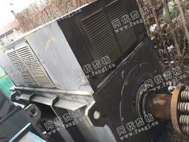 处理Y630-12/630KW/10KV电动机3台