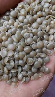 福建泉州出售PE膜颗粒