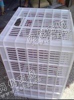 PP白色水果筐回收