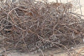 乱钢筋大量回收