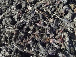 轻薄料大量回收