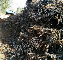中型6个厚以上大量回收