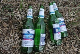 河北地区出售崂山啤酒瓶