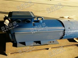 求购YL450-10/260KW/380V电动机一台