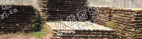钢管回收