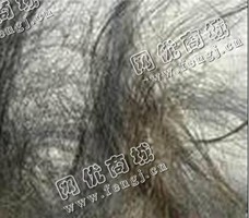江苏地区钼丝回收