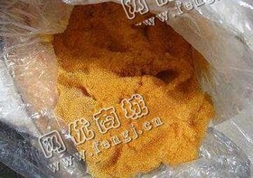 阴离子树脂回收