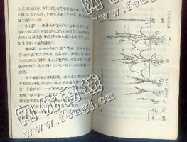 福建莆田地区废书本纸回收