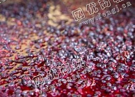 红酒瓶玻璃一级料回收