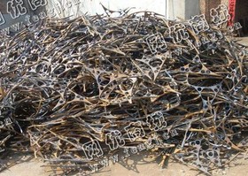 重废6个厚以上在线回收