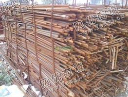 河北地区废钢筋大量回收
