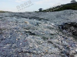 惠州地区就近处理5000吨LED显示屏边角料