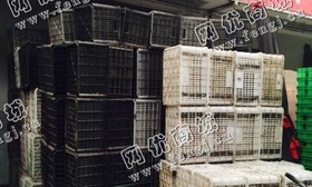 湖南长沙出售PP黑色水果框
