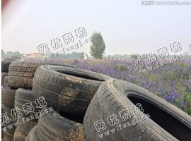 临沂地区900以上钢丝胎回收