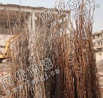 雨花区阳光大道老李拆房钢筋回收
