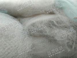 山东威海出售PA渔网