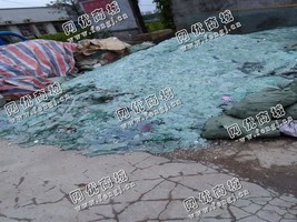 老禹废旧门窗玻璃回收