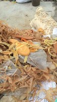 生胶鞋底边角料回收