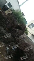 河南地区钢筋压块回收