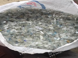 云南曲靖出售PET蓝白片破碎料