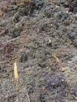 江苏地区钢刨花回收