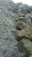 河南地区铁刨花大量回收
