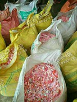 福建泉州出售PP粉色破碎料