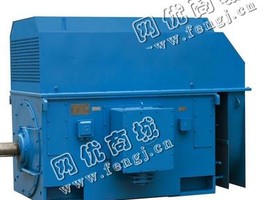 YR800-10/6KV系列高压三相异步电动机回收