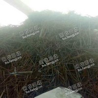 河南地区10个粗钢筋头回收