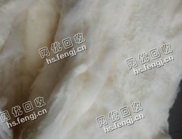 山东滨州地区旧棉花回收