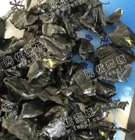 河北保定出售HDPE黑色燃气管道破碎料
