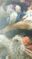 狐狸貉子毛领大量回收