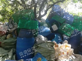 广东江门出售PP/PE类废塑料