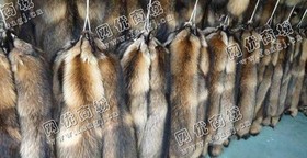 羽绒服帽条回收
