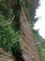 辽宁地区3-4个厚的铁管回收
