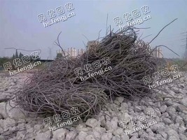 广东地区钢筋头回收