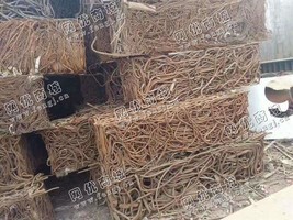 广东地区处理一批钢筋压块