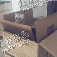 广西南宁西乡墉区旧纸箱回收