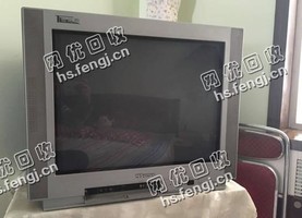 宁乡县城郊街道老黄29寸老式电视机回收