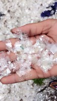 广东中山出售PET白色透明破碎料