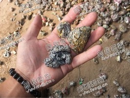 韶关地区出售100吨易拉罐破碎料