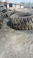 辽宁地区大的钢丝胎回收