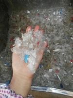 陕西咸阳出售PET白透瓶片
