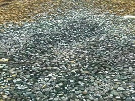 浙江地区钢板下脚料大量回收