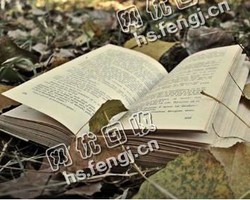 山东烟台莱山区旧书纸回收