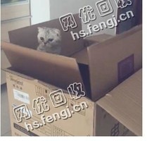 江西赣州地区废黄纸皮回收