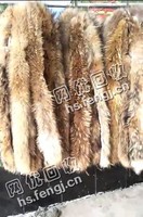 河北石家庄地区毛领回收
